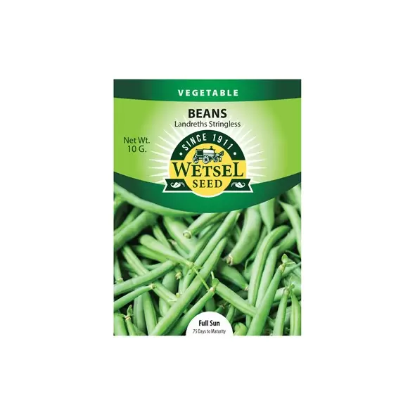 Beans, Burpee Stringless - 10 Gram