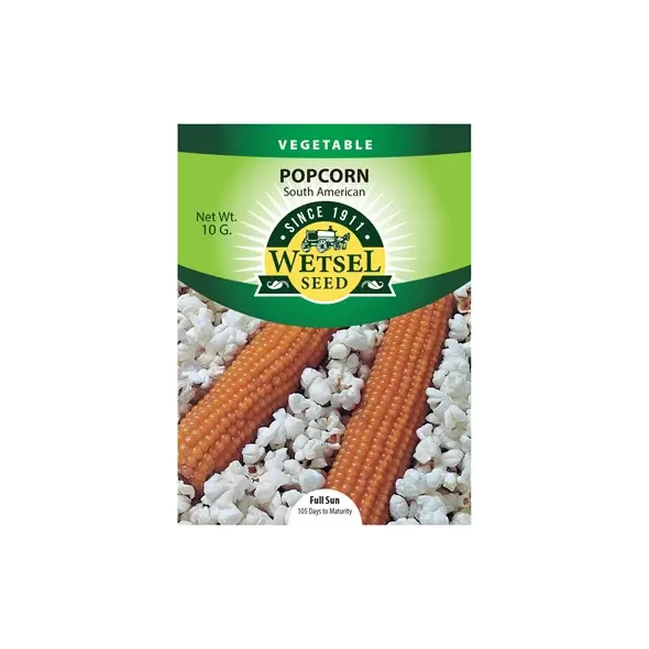 Popcorn, South American - 10 Gram