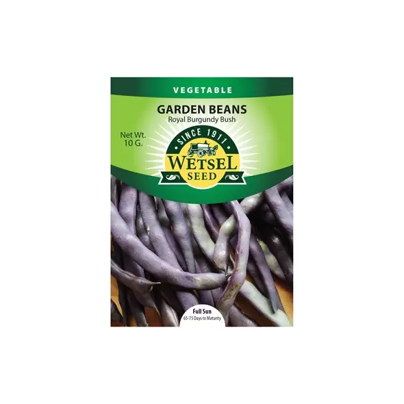 Beans, Royal Burgundy Bush - 10 Gram