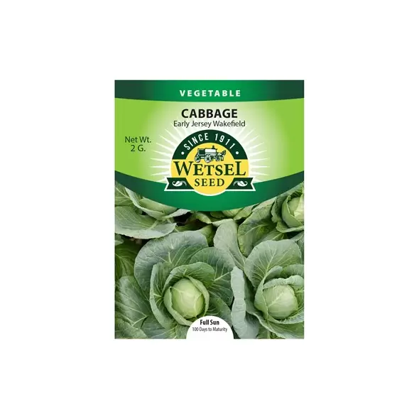 CABBAGE, EAR JERSEY WAKE 2 G.