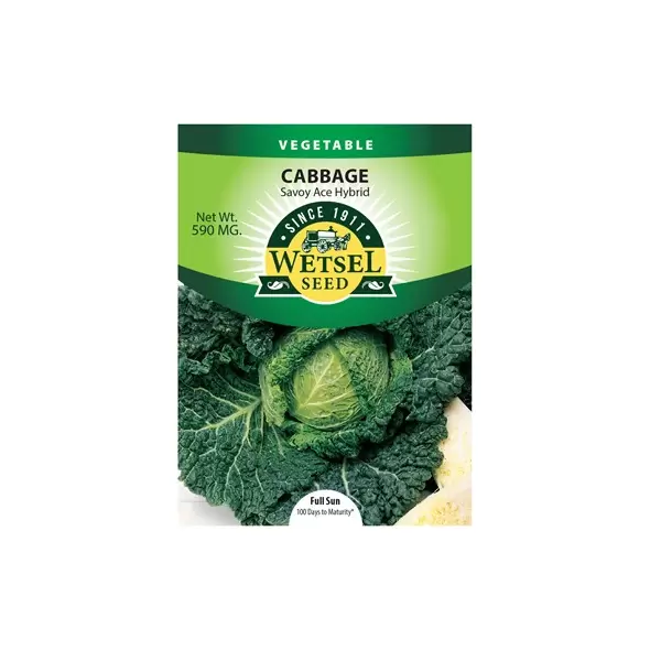 Cabbage, Savoy Ace Imp - 590 Mg