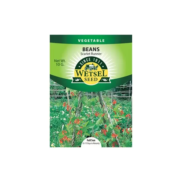 Beans, Scarlet Runner Pole - 10 Gram