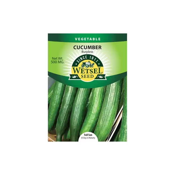 Cucumber, Burpless