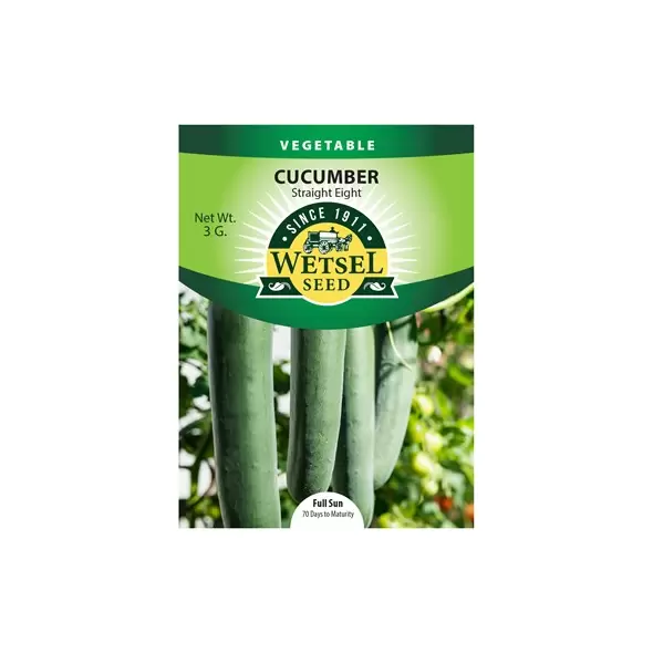 Cucumber, Straight Eight - 3 Gram