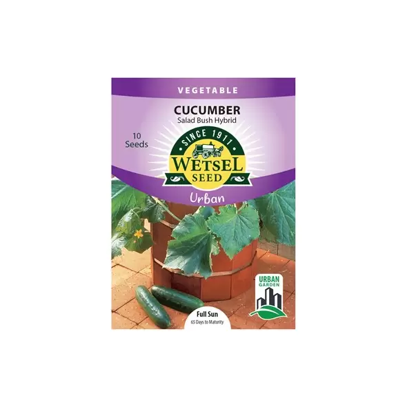 CUCUMBERS, SALAD BUSH 10 SEEDS