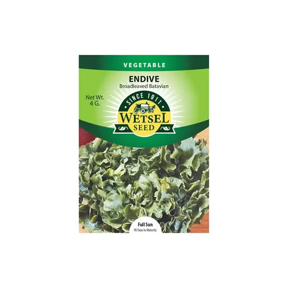 Endive, Broad Leaf Batavian 4g