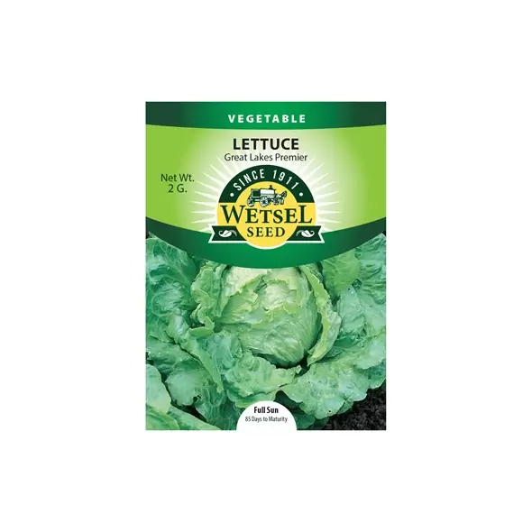 Lettuce, Great Lakes Premier - 2 Gram