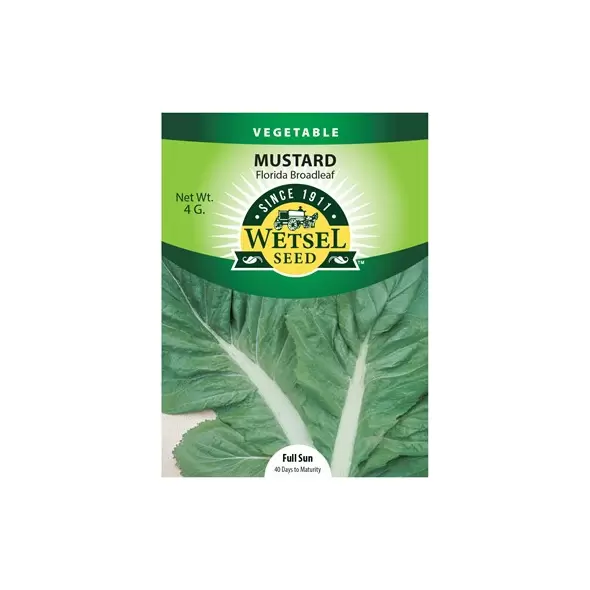 Mustard, Florida Broadleaf - 4 grams