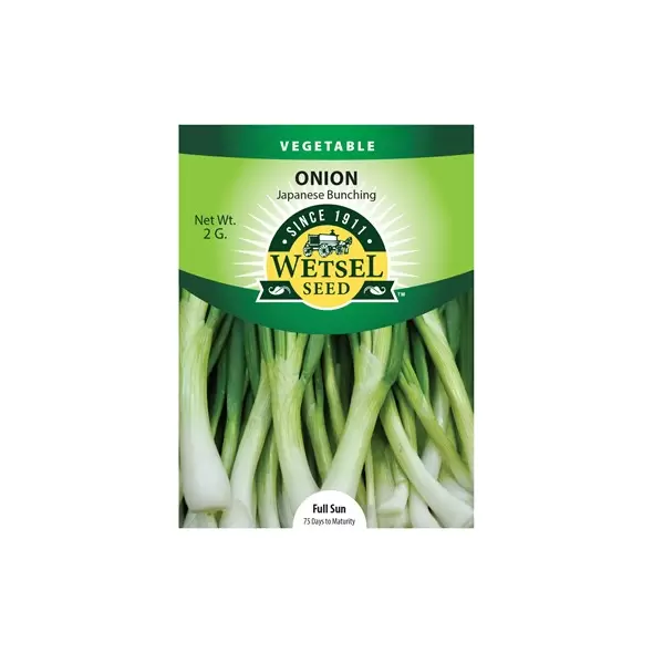 Onion, Japanese Bunching - 2 grams