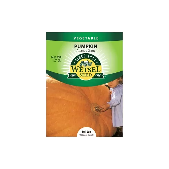 Pumpkin, Atlantic Giant - 1.7 grams