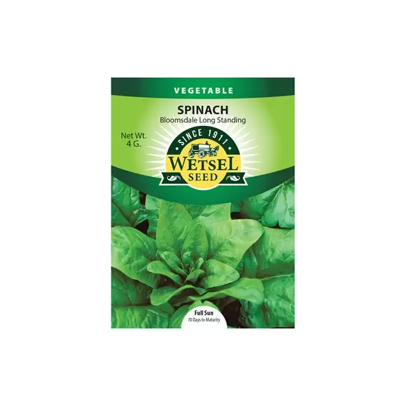 Spinach, Bloomsdale Long Standing - 4 grams