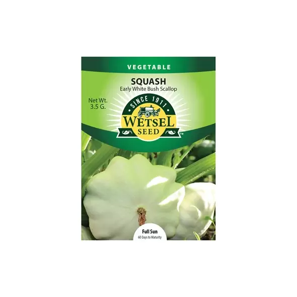 SQUASH, EARLY WHIT BUSH 3.5 G