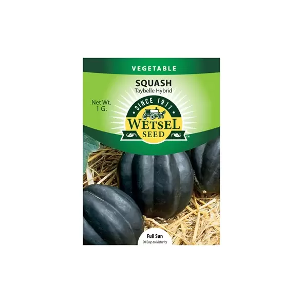 Squash, Taybelle Hybrid - 1 Gram