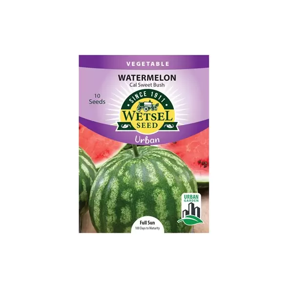 Watermelon, Cal Sweet Bush (Patio) 10 Seeds