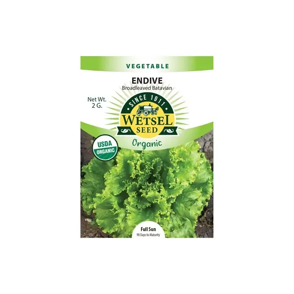 Organic Batavian Endive - 2 Gram