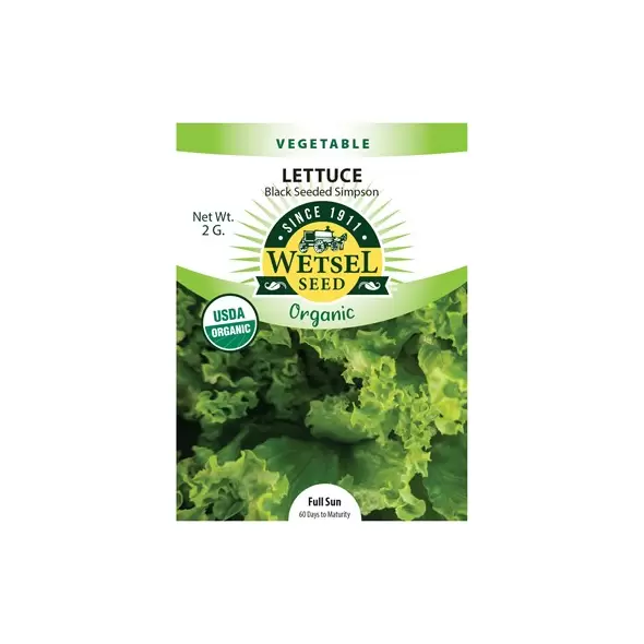 Organic Black Seed Simpson Lettuce - 2 Gram