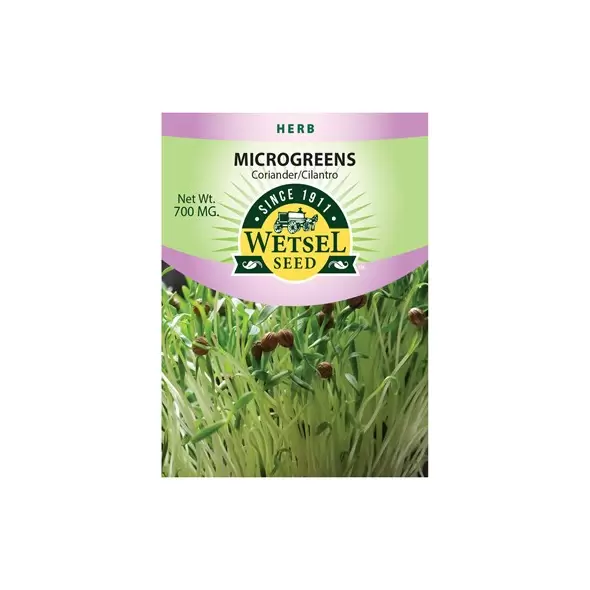 Microgreens, Coriander/Cilantro - 700 Mg