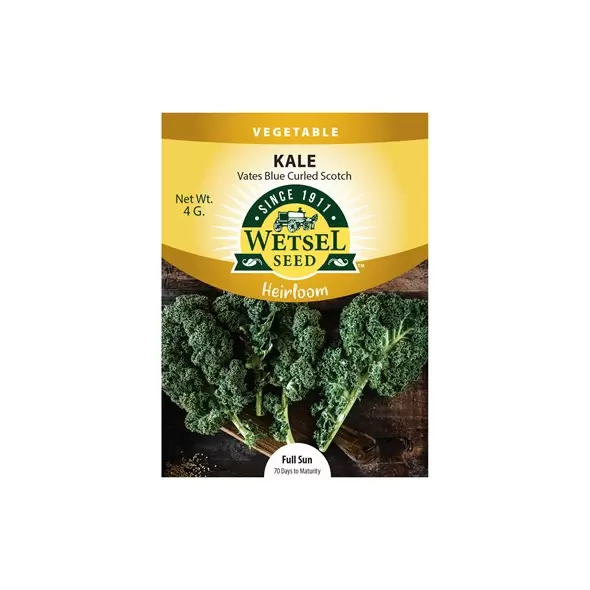 Heirloom, Vates Blue Curled Kale 4gram
