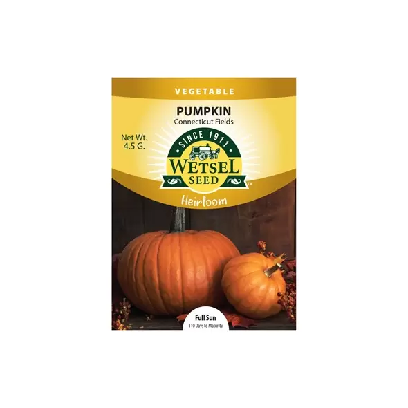 HEIRLOOM, PUMPKIN CONN FIELD