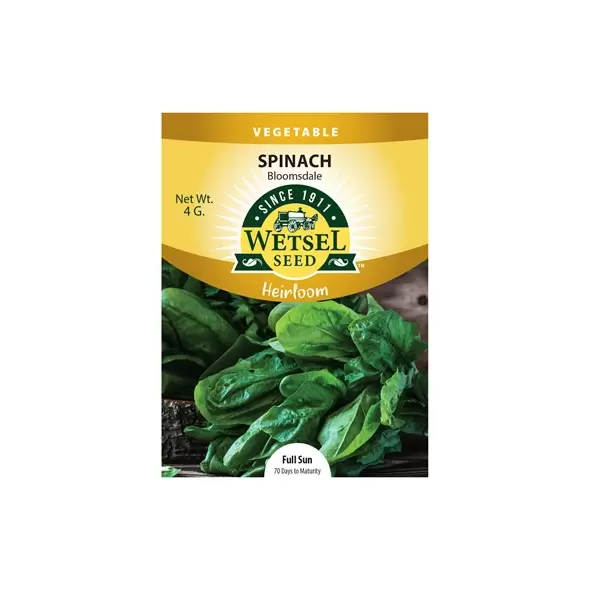 HEIRLOOM, BLOOMSDALE SPINACH 4 GRAM