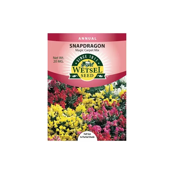 SNAPDRAGON, MAGIC CARPET PKT