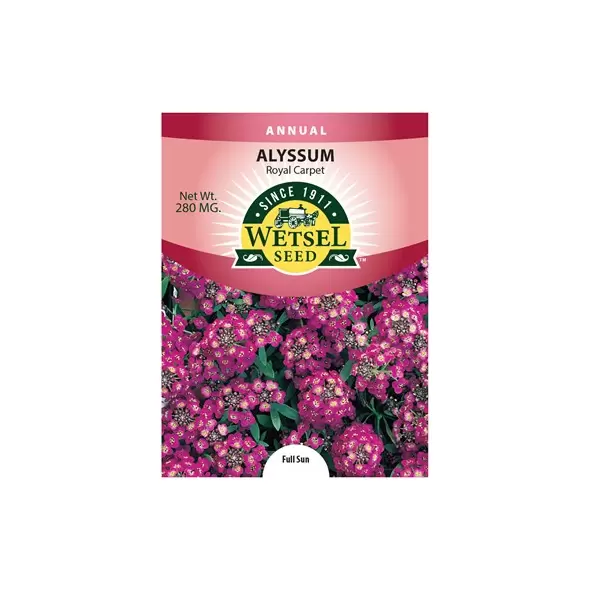 ALYSSUM, ROYAL CARPET 280 MG