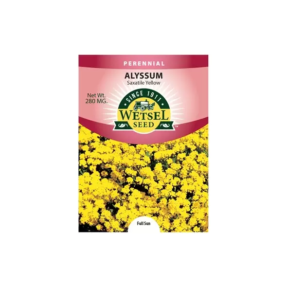ALYSSUM, SAXATILE YELLO 280 MG