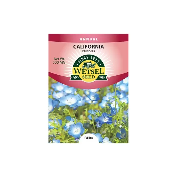CALIFORNIA BLUEBELLS - 500 MG