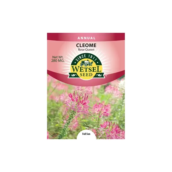 CLEOME, ROSE QUEEN SPIDER PLANT 280 MG