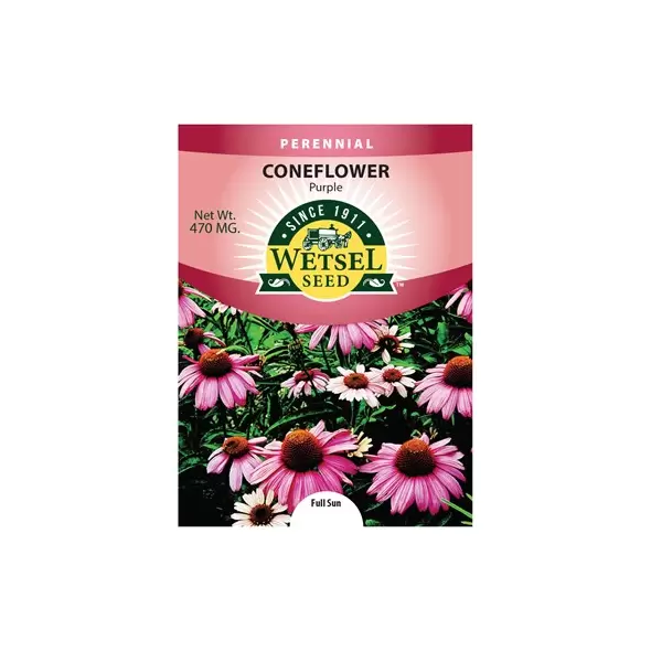 CONEFLOWER, PURPLE 470 MG