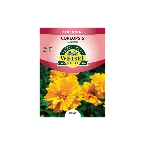COREOPSIS, SUNBURST 470 MG