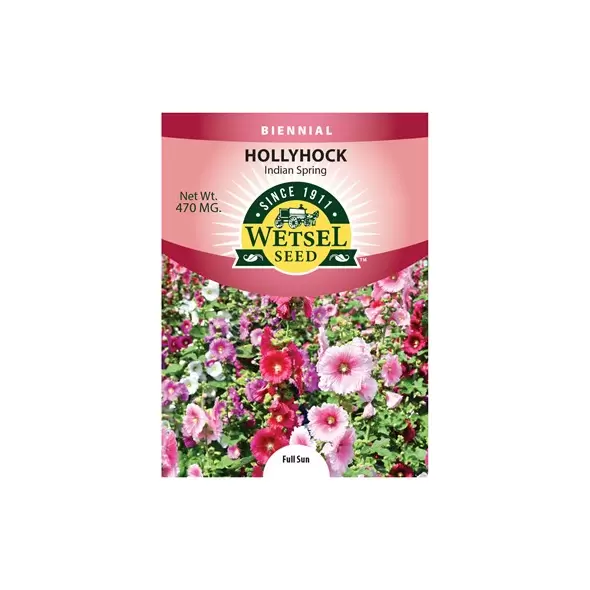 HOLLYHOCK, INDIAN SPRING PKT 470 MG
