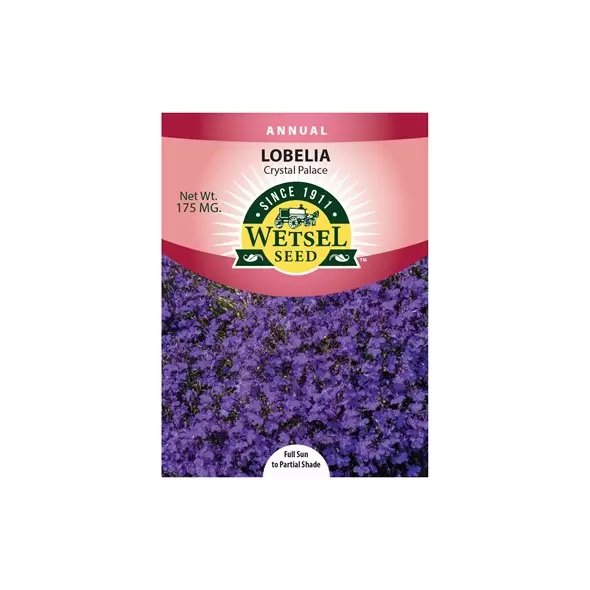 LOBELIA, CRYSTAL PALACE 175 MG