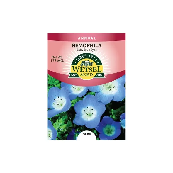 NEMOPHILA, BABY BLU EYE 175 MG