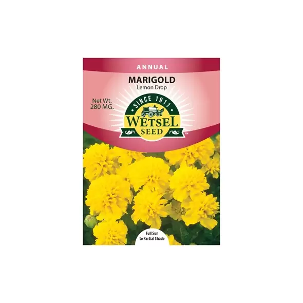 MARIGOLD, LEMON DROP 280 MG