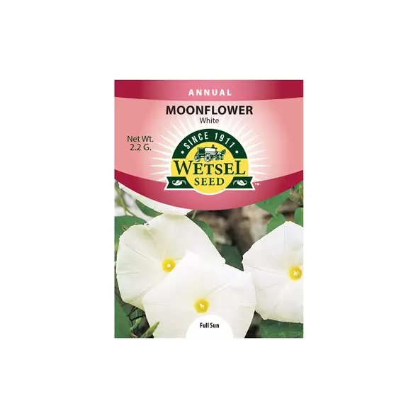 MOON FLOWER (WHITE) 2.2 G