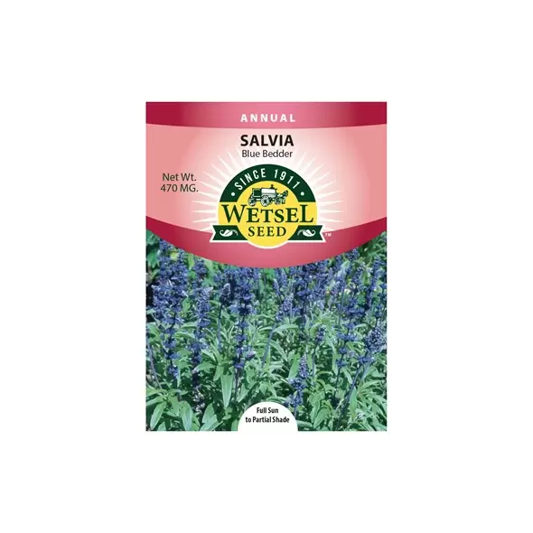 SALVIA, BLUE BEDDER 470 MG