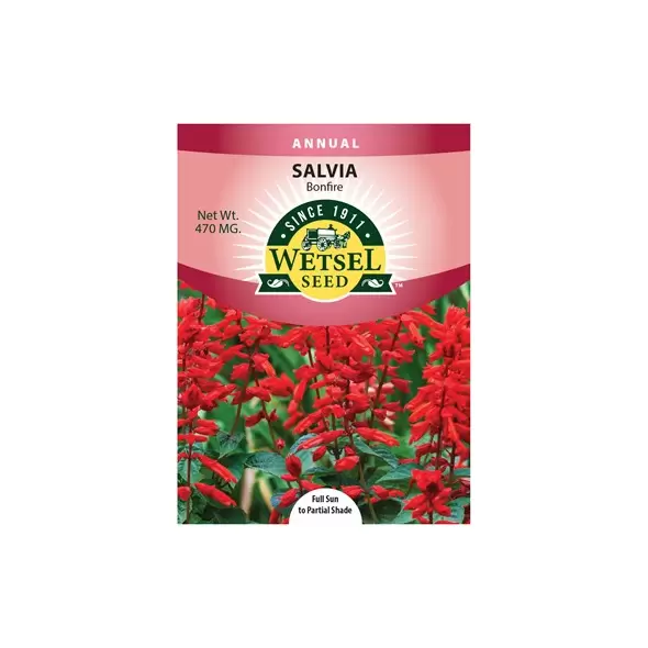 SALVIA, BONFIRE 470 MG
