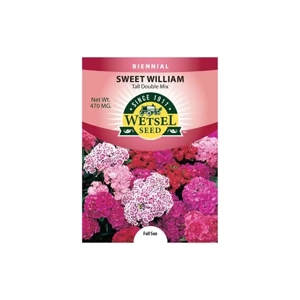 SW. WILLIAM, TALL DB MX 470 MG