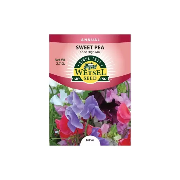 SWEET PEA, KNEE HIGH MIX PKT
