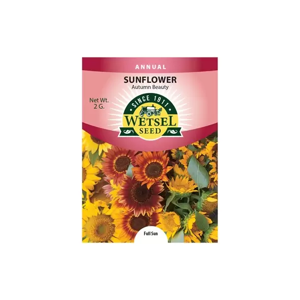 Sunflower, Autumn Beauty - 2 Gram