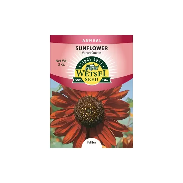 Sunflower, Velvet Queen - 2 Gram