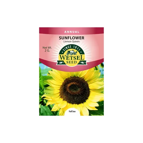 Sunflower, Lemon Queen - 2 Gram
