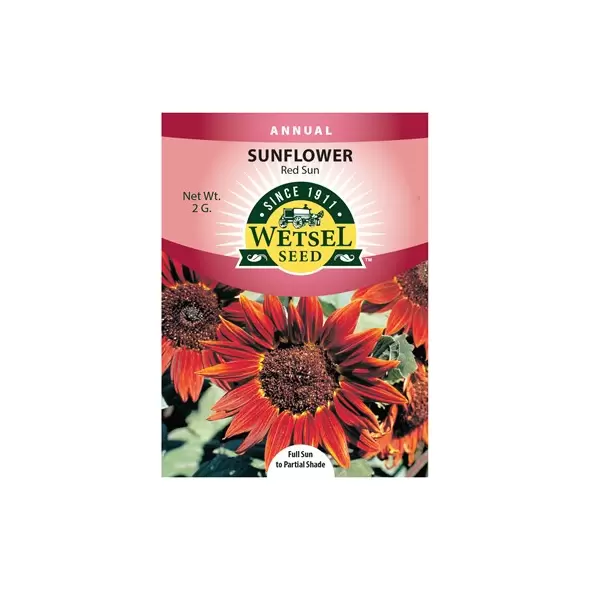 SUNFLOWER, RED SUN