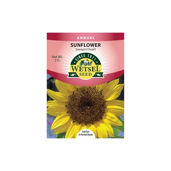 Sunflower, Sunspot Dwarf - 2 Gram