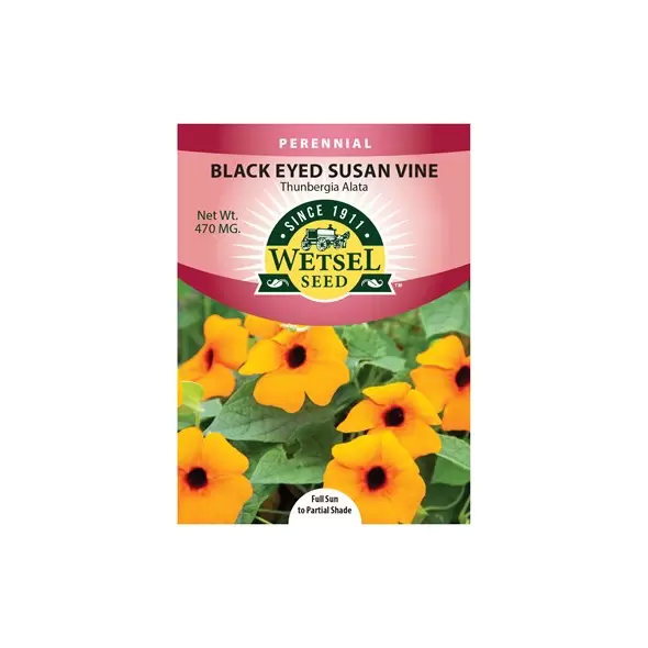 THUNBERGIA, ALATA MIX 470 MG