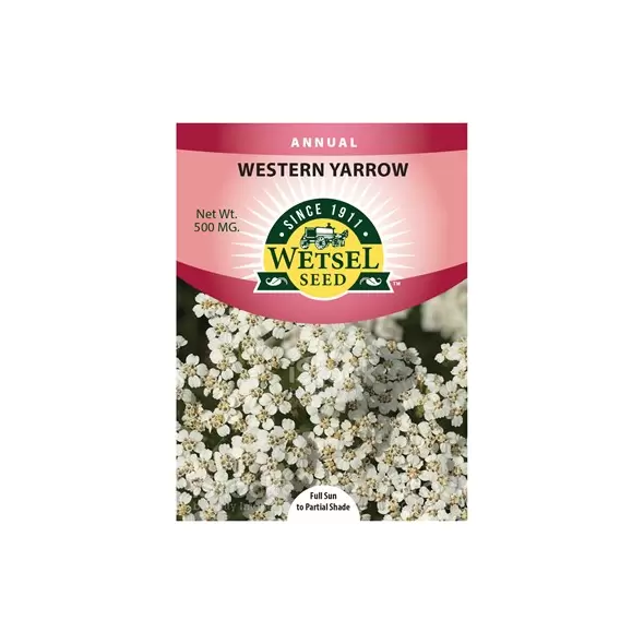 WESTERN YARROW - 500 MG