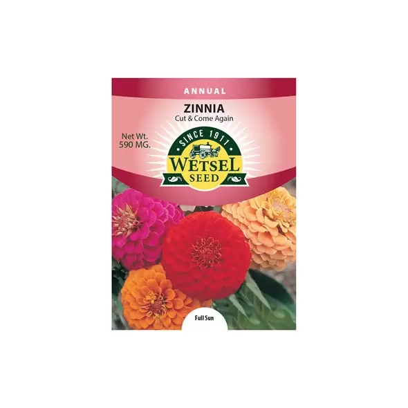 ZINNIA,CUT & COME AGAIN 590 MG