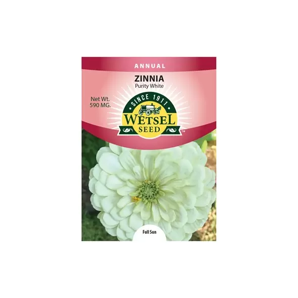 ZINNIA, PURITY WHITE 590 MG.