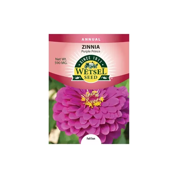 Zinnia, Purple Prince 590 mg
